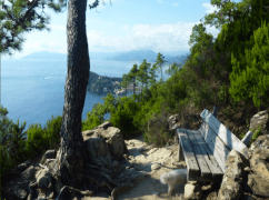 fastenwandern-Fiorella-Stett Kreativität, ganzheitlich, Körper, Seele, Geist, Spiritualität, Dr. Otto Buchinger, Buchingerfasten Fasten nach Buchinger/Lützner Auszeit ,Urlaub,Rückzug, Aktivurlaub, Burnout, Regeneration, Meditation,Stress, aktivieren, Stressreduktion, Autogenes Training, Entspannungseinheiten, Entspannungstherapie, Bewusstseinserweiterung Fastenseminar, Fastenkurs, Fastenurlaub, Innenschau,Kreativität, Sensibilität, Achtsamkeit, Dr. Hellmut Lützner, Stoffwechsel, innerer Arzt, Selbstheilungskräfte, Lebensgefühl, Ernährungsumstellung, Ernährungsberatung, Transformation, Spiritualität, Fiorella Stett